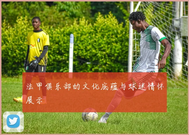 法甲俱乐部的文化底蕴与球迷情怀展示