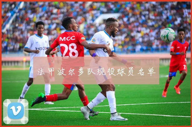 法甲波尔多队现役球员名单