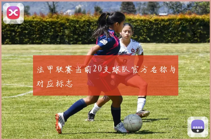 法甲联赛当前20支球队官方名称与对应标志