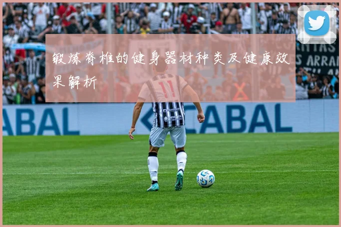 锻炼脊椎的健身器材种类及健康效果解析